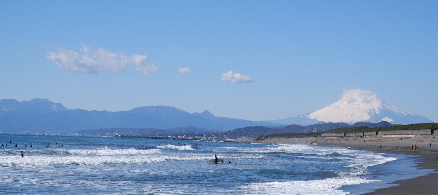 🌳 가나가와 현립 치가사키사토야마 공원 이미지 7